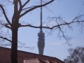 Blick zum Fernsehturm Dresden