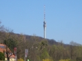 Blick zum Fernsehturm Dresden