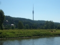 Blick zum Fernsehturm Dresden