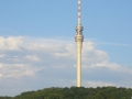 Blick zum Fernsehturm Dresden