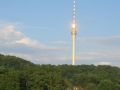 Blick zum Fernsehturm Dresden