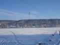DSC04196