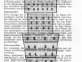 FST_018_SZ-April-66