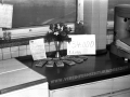 Telelotto---Hauptgewinn-für-10
